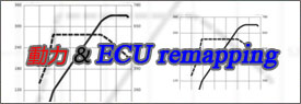 ECU remapping